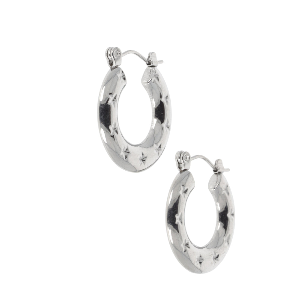 Stainless steel Horseshoe-shaped earrings with stars surrounding the horseshoe