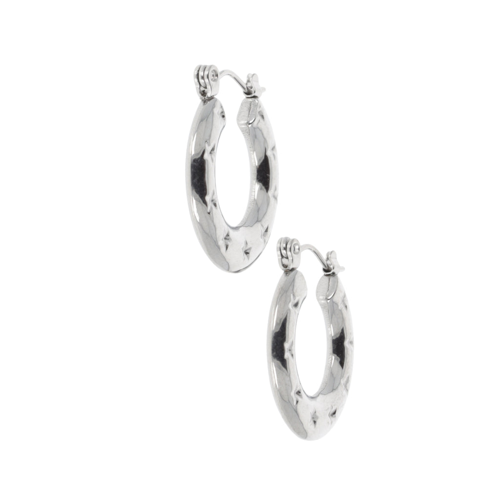 Stainless steel Horseshoe-shaped earrings with stars surrounding the horseshoe﻿