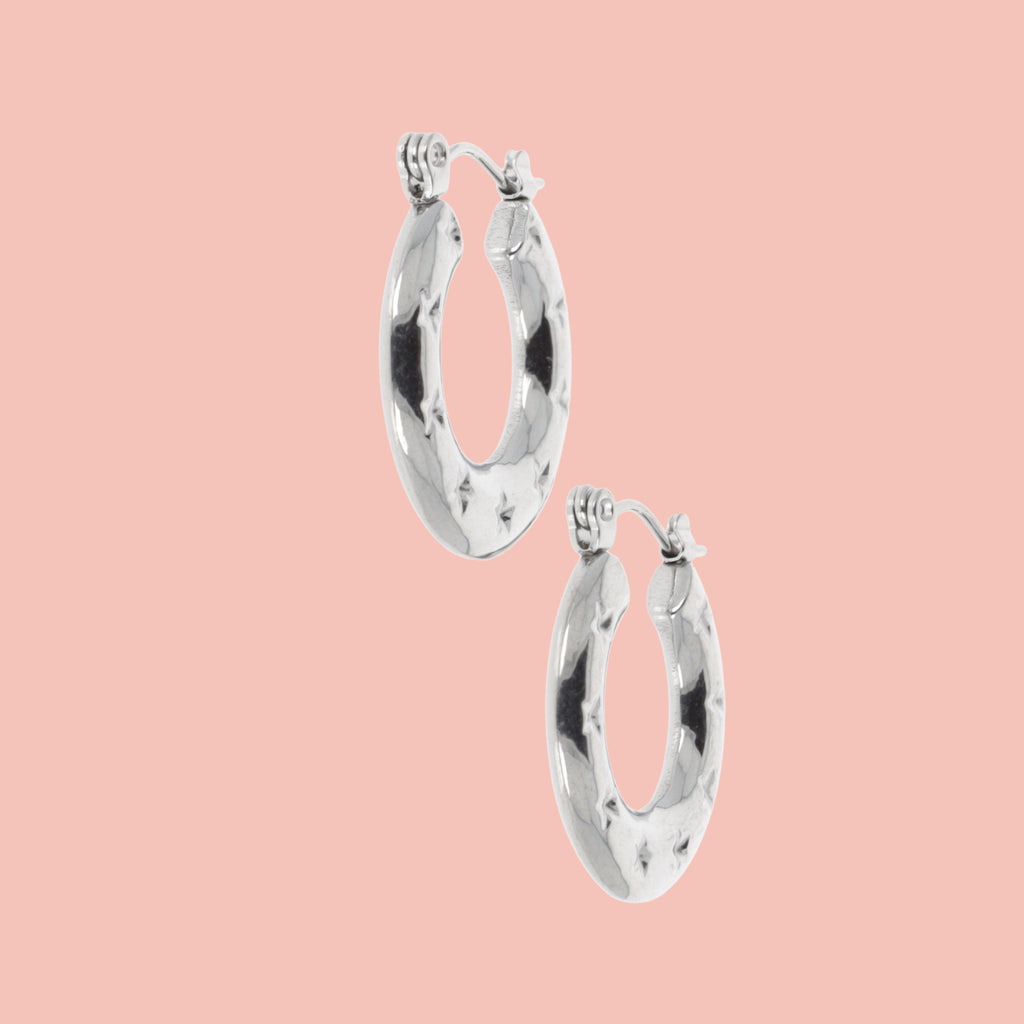 Stainless steel Horseshoe-shaped earrings with stars surrounding the horseshoe