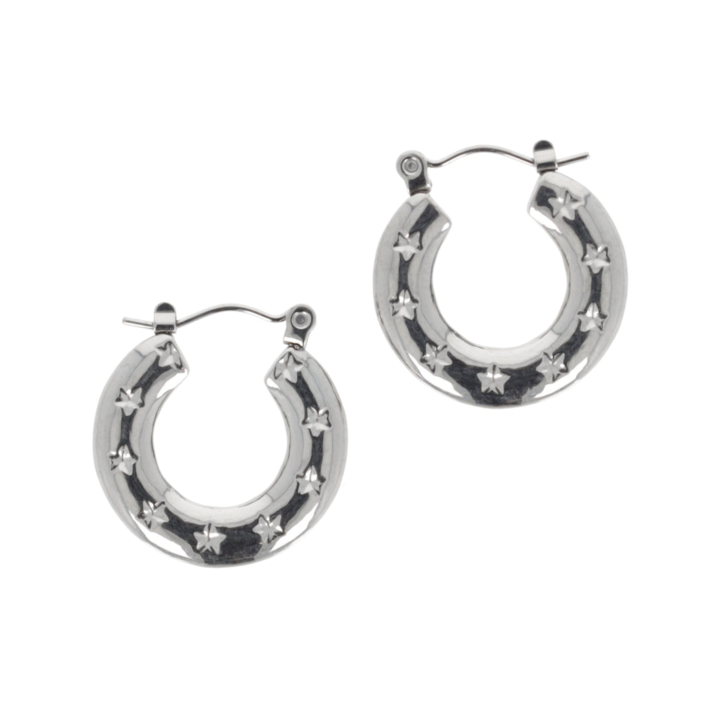 Stainless steel Horseshoe-shaped earrings with stars surrounding the horseshoe